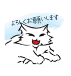 おちゃめな毛長の猫（敬語）（個別スタンプ：11）