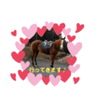 MKホースパーク公式 第二弾（個別スタンプ：1）