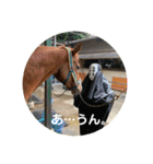 MKホースパーク公式 第二弾（個別スタンプ：8）