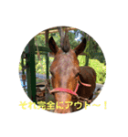 MKホースパーク公式 第二弾（個別スタンプ：13）