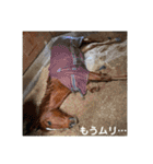 MKホースパーク公式 第二弾（個別スタンプ：18）