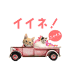 ❤️ねこ★デザインスタンプ3（個別スタンプ：4）