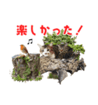 ❤️ねこ★デザインスタンプ3（個別スタンプ：6）