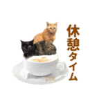 ❤️ねこ★デザインスタンプ3（個別スタンプ：11）