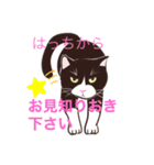 うちの子が一番可愛いネコスタンプ（個別スタンプ：2）