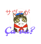 うちの子が一番可愛いネコスタンプ（個別スタンプ：6）
