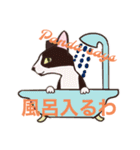 うちの子が一番可愛いネコスタンプ（個別スタンプ：14）