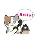 いろいろねこの日常スタンプ（個別スタンプ：2）