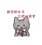 いろいろねこの日常スタンプ（個別スタンプ：3）