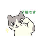 いろいろねこの日常スタンプ（個別スタンプ：4）