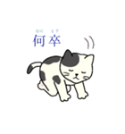 いろいろねこの日常スタンプ（個別スタンプ：7）
