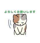 いろいろねこの日常スタンプ（個別スタンプ：8）