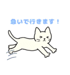 いろいろねこの日常スタンプ（個別スタンプ：11）