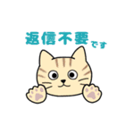 いろいろねこの日常スタンプ（個別スタンプ：12）