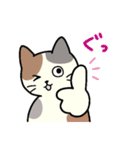 いろいろねこの日常スタンプ（個別スタンプ：13）