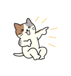 いろいろねこの日常スタンプ（個別スタンプ：15）