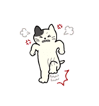 いろいろねこの日常スタンプ（個別スタンプ：16）