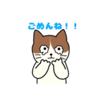 いろいろねこの日常スタンプ（個別スタンプ：17）