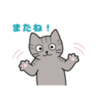 いろいろねこの日常スタンプ（個別スタンプ：19）