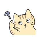 いろいろねこの日常スタンプ（個別スタンプ：20）