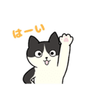 いろいろねこの日常スタンプ（個別スタンプ：22）