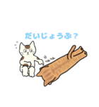 いろいろねこの日常スタンプ（個別スタンプ：24）