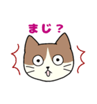 いろいろねこの日常スタンプ（個別スタンプ：25）