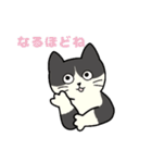 いろいろねこの日常スタンプ（個別スタンプ：28）