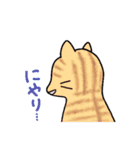 いろいろねこの日常スタンプ（個別スタンプ：31）