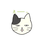いろいろねこの日常スタンプ（個別スタンプ：36）