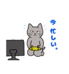 いろいろねこの日常スタンプ（個別スタンプ：39）