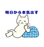 いろいろねこの日常スタンプ（個別スタンプ：40）