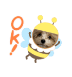 Roiすたんぷ★マルプー（個別スタンプ：4）