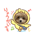 Roiすたんぷ★マルプー（個別スタンプ：5）