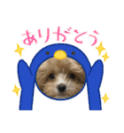Roiすたんぷ★マルプー（個別スタンプ：15）