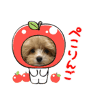 Roiすたんぷ★マルプー（個別スタンプ：17）