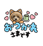 Roiすたんぷ★マルプー（個別スタンプ：27）