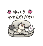 このねこめっちゃ丁寧（個別スタンプ：28）