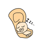 耳たぶ大好きペロちゃん2（個別スタンプ：29）