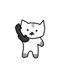 無表情なネコたち（個別スタンプ：38）