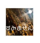 okage8（個別スタンプ：14）