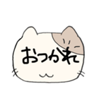 デカ文字で伝える猫型スタンプ(日本語)（個別スタンプ：21）