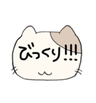 デカ文字で伝える猫型スタンプ(日本語)（個別スタンプ：24）