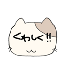 デカ文字で伝える猫型スタンプ(日本語)（個別スタンプ：25）