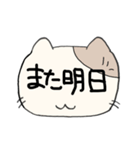 デカ文字で伝える猫型スタンプ(日本語)（個別スタンプ：39）
