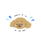 オカンなトイプー（個別スタンプ：9）