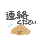 オカンなトイプー（個別スタンプ：12）