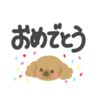 オカンなトイプー（個別スタンプ：20）