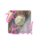 はんぺん2nd（個別スタンプ：2）