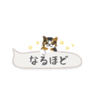 ねこつぶ ～省スペース～（個別スタンプ：2）